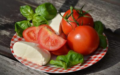 Retningslinjer for merkevaren “Verace Pizza Napoletana” (engelsk versjon)