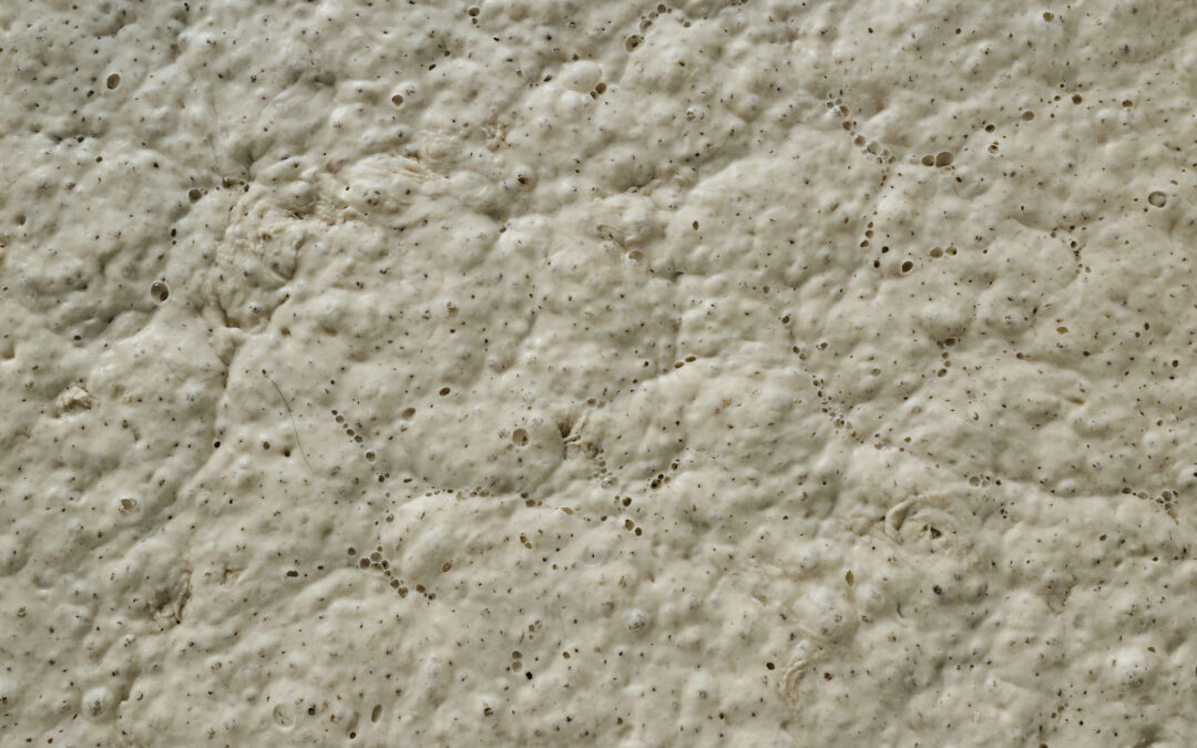 Poolish er en 100 prosent hydrert fordeig (preferment)