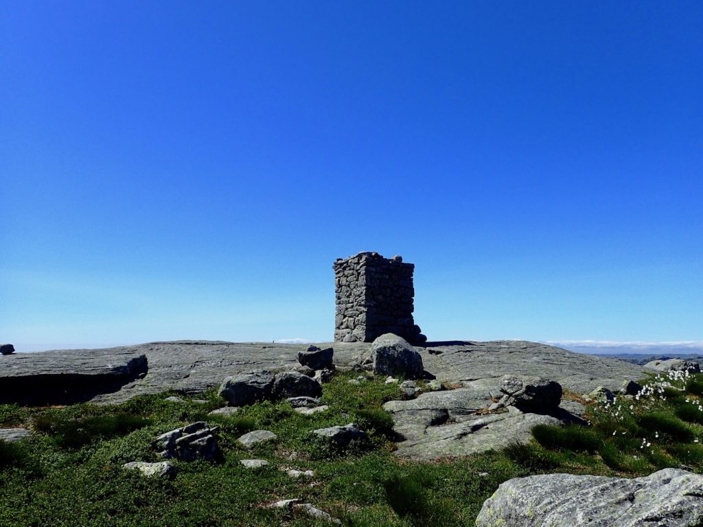Grønhaug