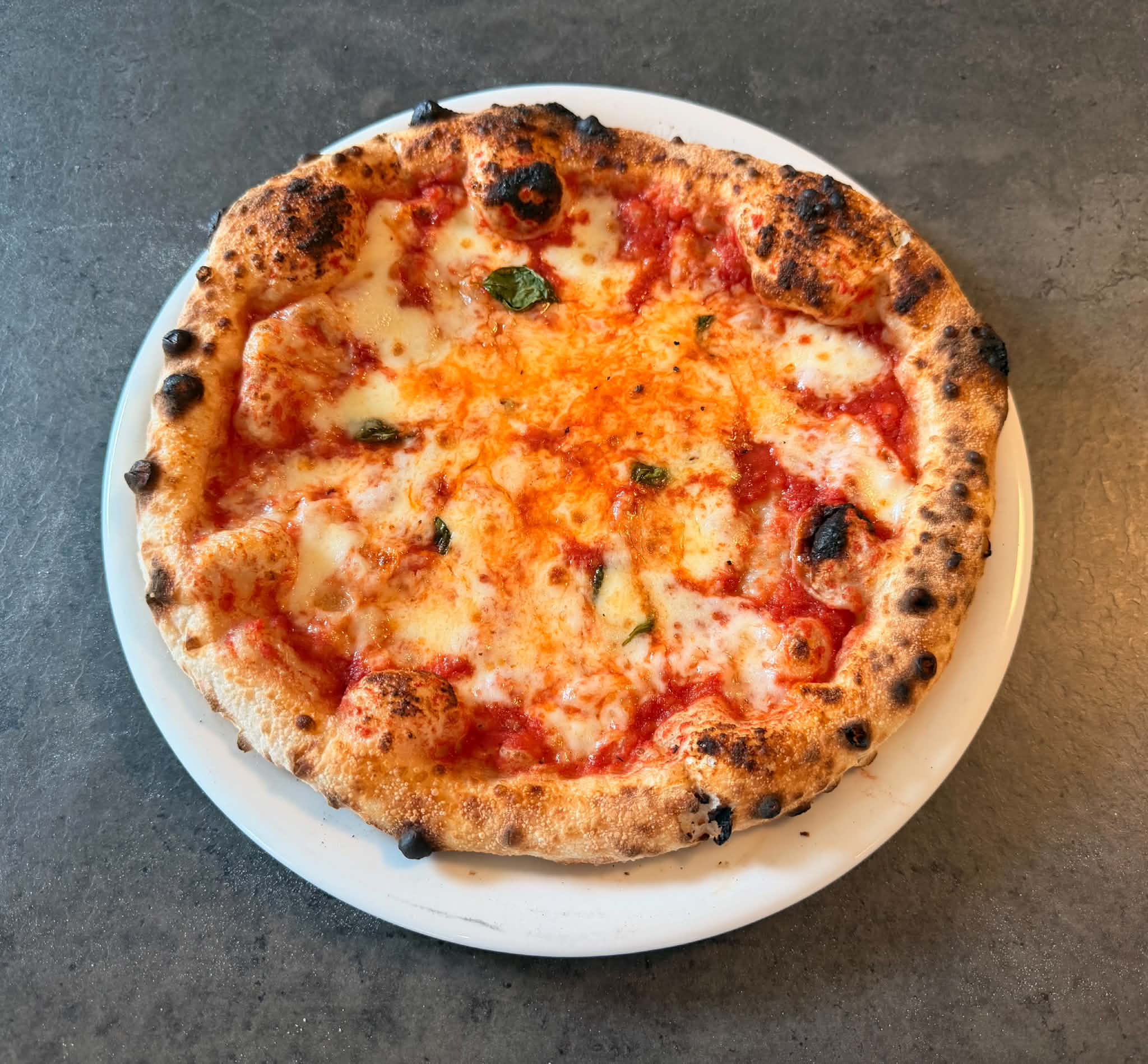 Pizza test panetti pro 1